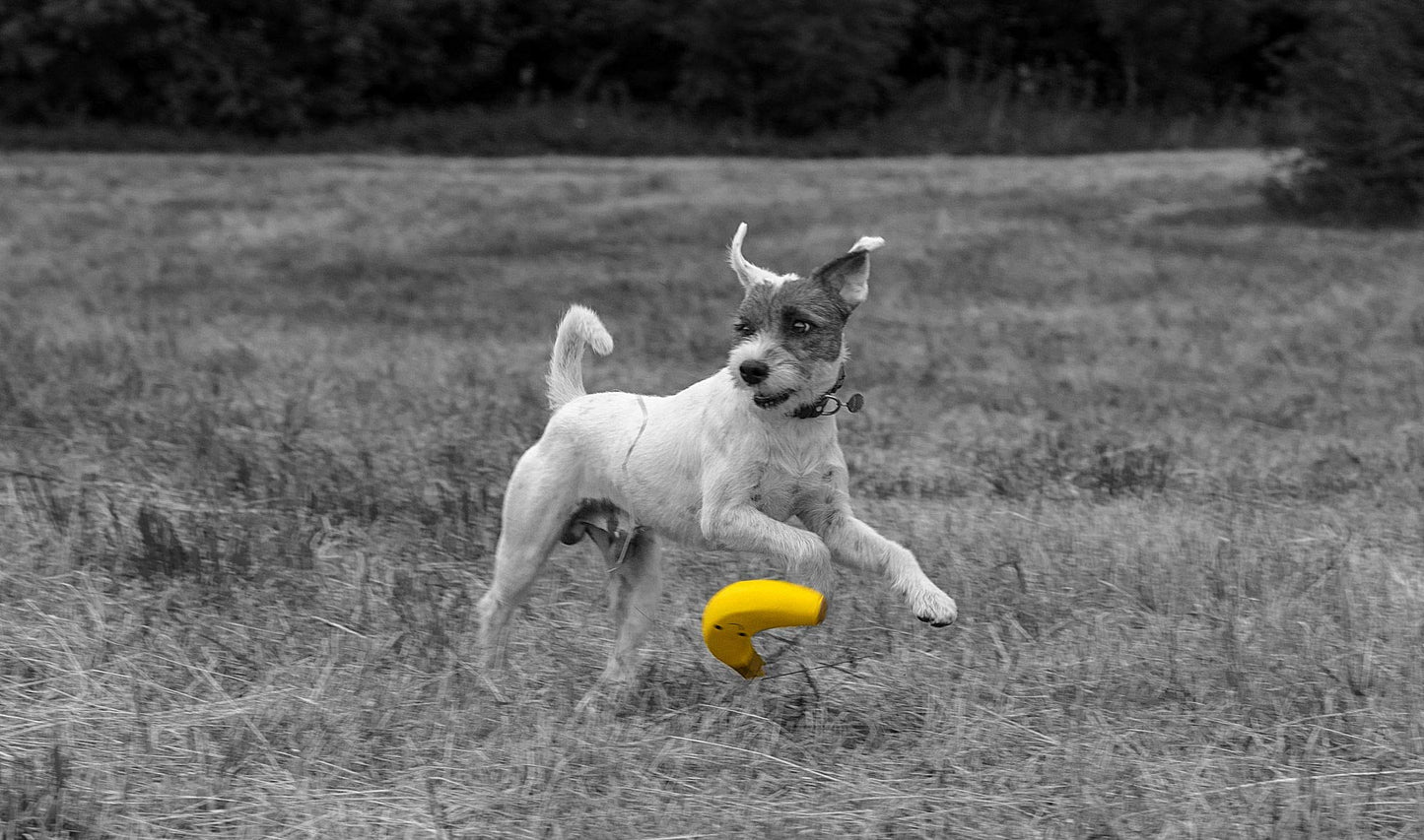 Petface Latex Banana Soft Chew Dog Toy, Large