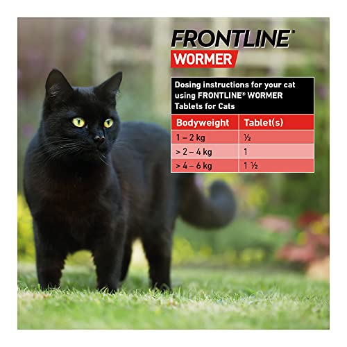 FRONTLINE WORMER - Cat Worming Treatment - 2 Tablets