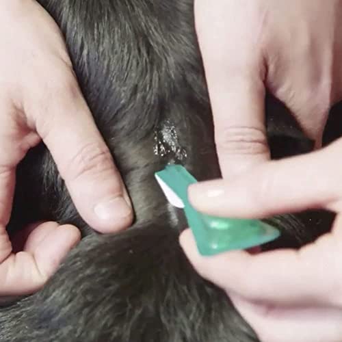 FRONTLINE Plus Flea & Tick Treatment for Medium Dogs (10-20 kg) - 3 Pipettes