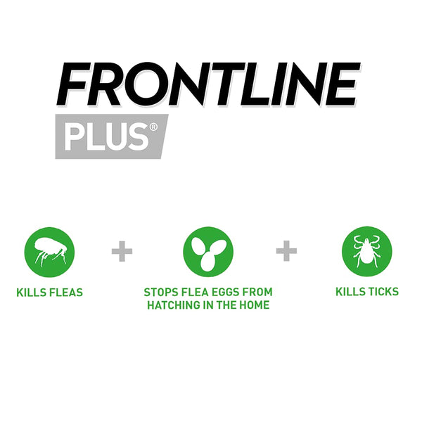 FRONTLINE Plus Flea & Tick Treatment for Cats and Ferrets - 3 Pipettes