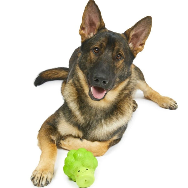 Petface Latex Broccoli Soft Chew Dog Toy, Large