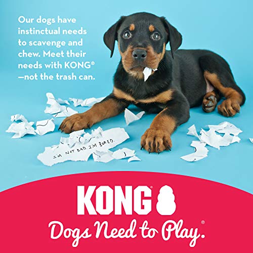 KONG - Classic Dog Toy - Durable Natural Rubber - Fun to Chew, Chase and Fetch - For Medium Dogs