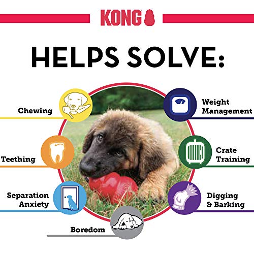 KONG - Classic Dog Toy - Durable Natural Rubber - Fun to Chew, Chase and Fetch - For Medium Dogs