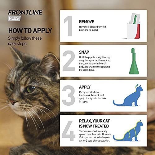 FRONTLINE Plus Flea & Tick Treatment for Cats and Ferrets - 6 Pipettes