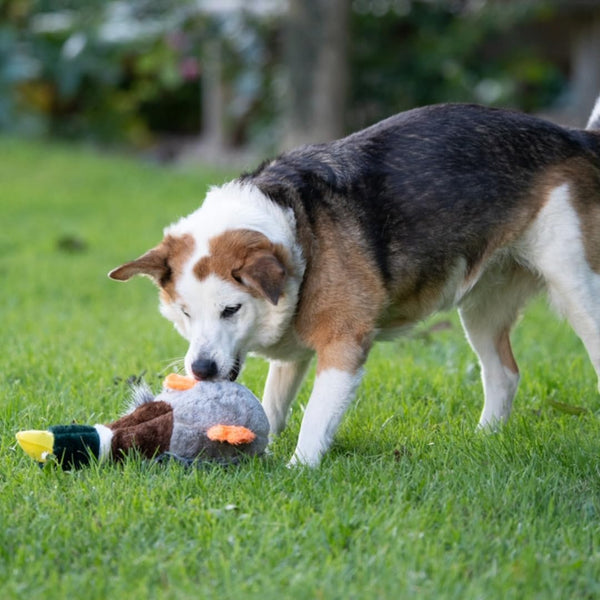 Petface Honking and Squeaky Duck Plush Dog Toy