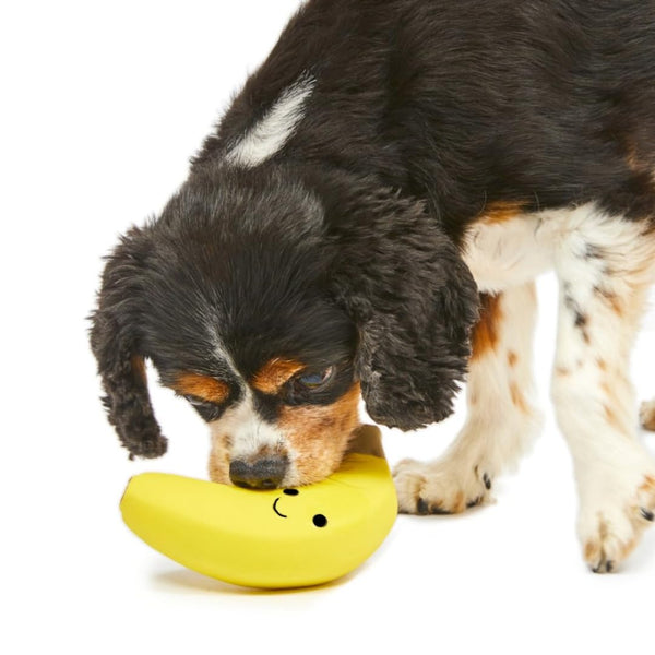 Petface Latex Banana Soft Chew Dog Toy, Small