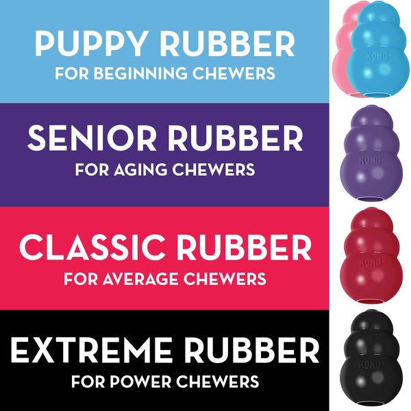 KONG - Puppy Toy Natural Teething Rubber - Fun to Chew, Chase & Fetch - For Small Puppies (Colour May Vary)