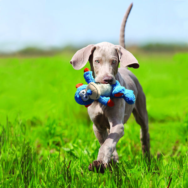 KONG - Cross Knots Monkey - Internal Knotted Ropes and Minimal Stuffing for Less Mess - For Small and Medium Dogs