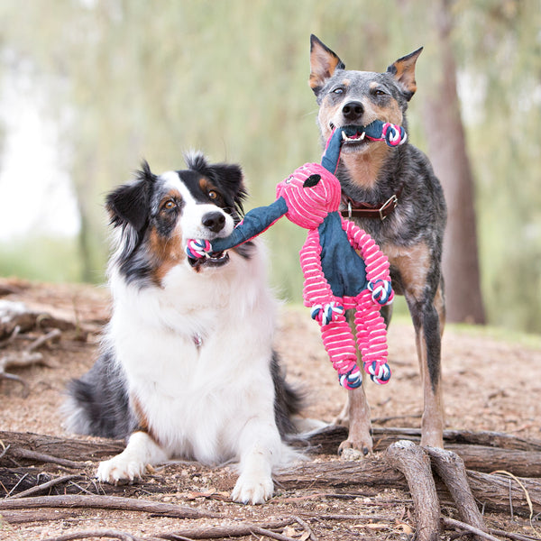 KONG - Floppy Knots Hippo - Internal Knotted Ropes and Minimal Stuffing for Less Mess - For Medium/Large Dogs